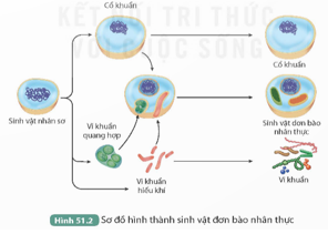 BÀI 51: SỰ PHÁT SINH VÀ PHÁT TRIỂN SỰ SỐNG TRÊN TRÁI ĐẤT